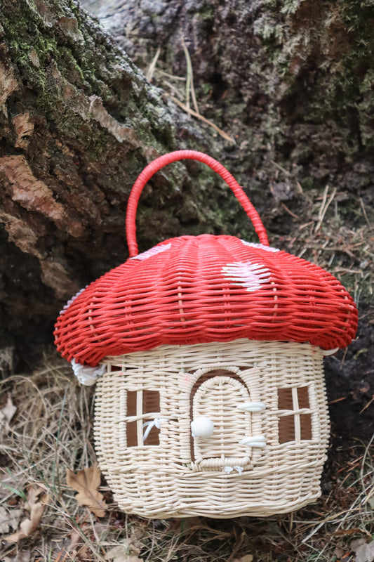 Paddenstoel Mand Rotan